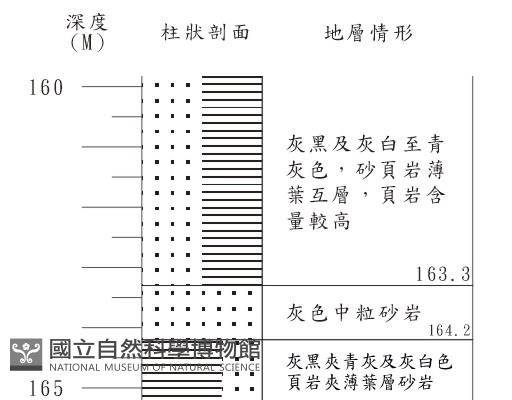 登錄號:C001373藏品圖，第3張