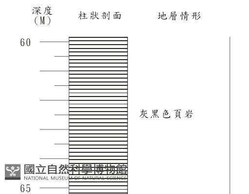 登錄號:C001353藏品圖，第3張