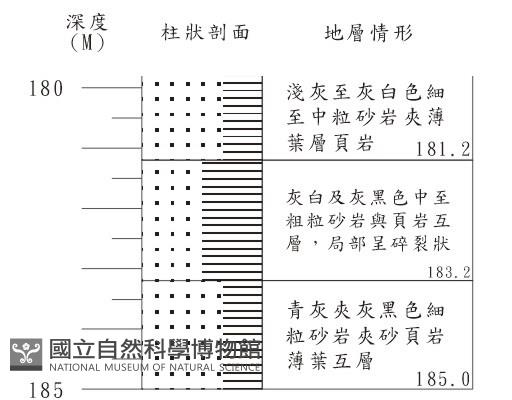 登錄號:C001377藏品圖，第3張
