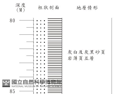 登錄號:C001357藏品圖，第3張