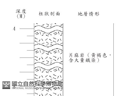 登錄號:C004337藏品圖，第3張