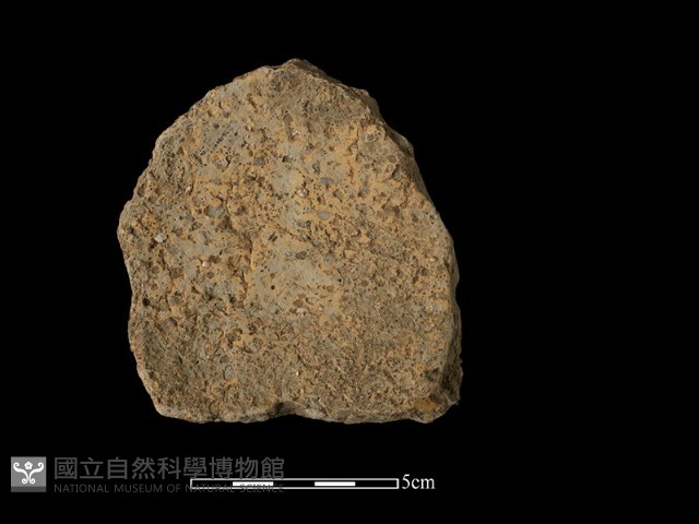 陶片藏品圖，第2張
