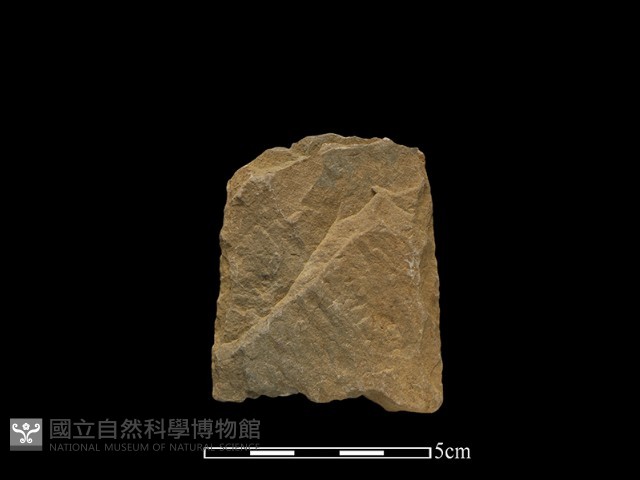 斧鋤形器藏品圖，第1張