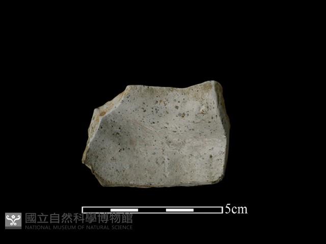 陶片藏品圖，第2張