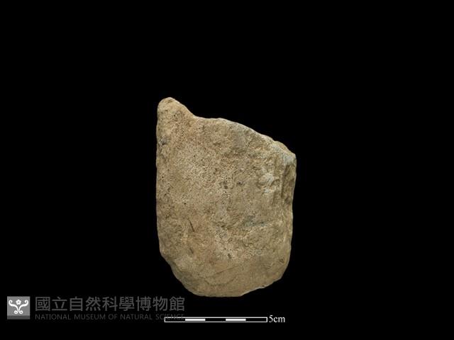 磨製斧鋤形器藏品圖，第2張