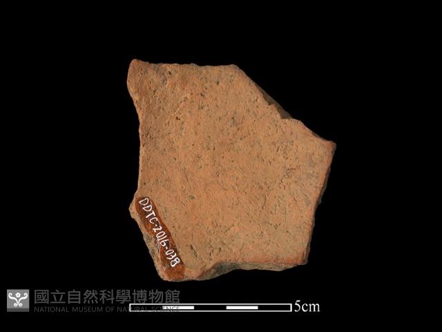 陶片藏品圖，第2張