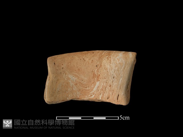 陶罐藏品圖，第1張