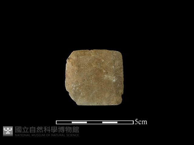 矛鏃形器藏品圖，第2張