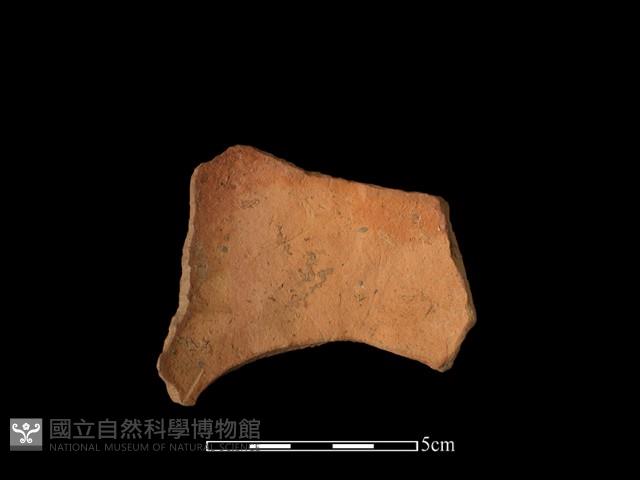 陶片藏品圖，第2張