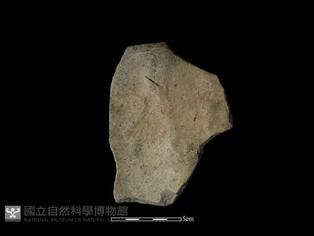 陶片藏品圖，第1張