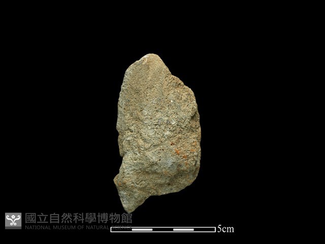 斧鋤形器藏品圖，第1張