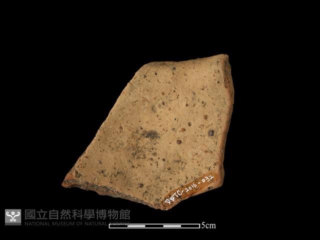 陶片藏品圖，第2張