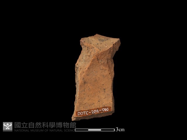陶片藏品圖，第1張