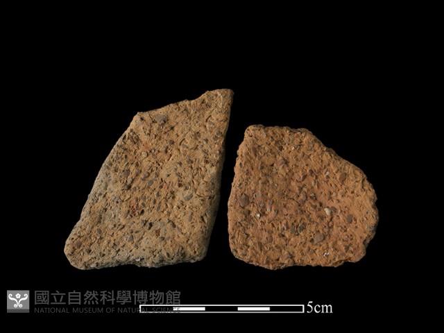 陶片藏品圖，第2張