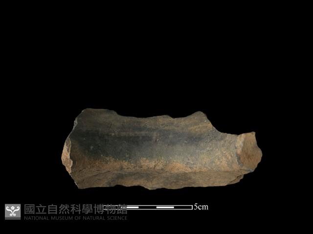 陶片藏品圖，第2張