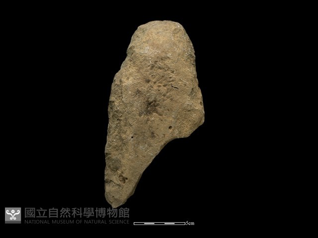 斧鋤形器藏品圖，第2張