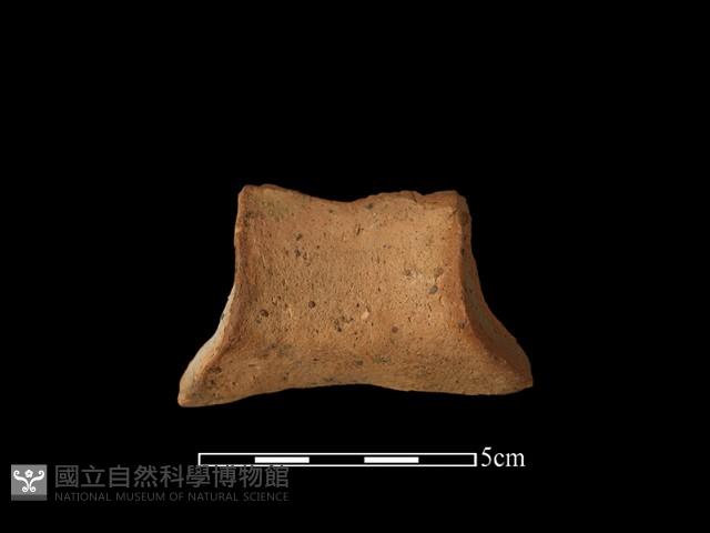 陶片藏品圖，第1張