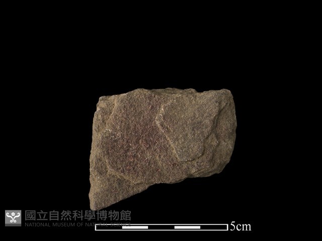 斧鋤形器藏品圖，第2張