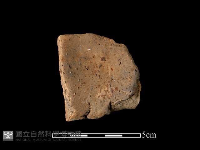 陶罐藏品圖，第2張