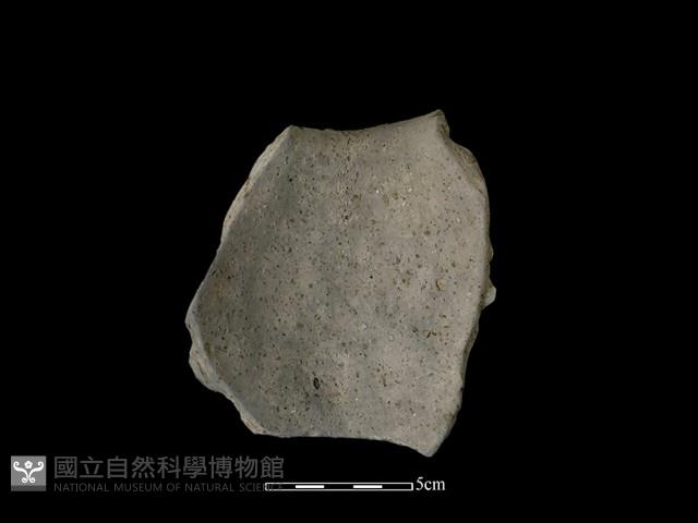 陶片藏品圖，第1張