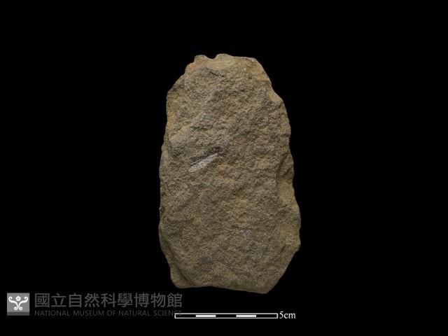 Accession Number:CSGM-2014-001 Collection Image, Figure 2, Total 2 Figures