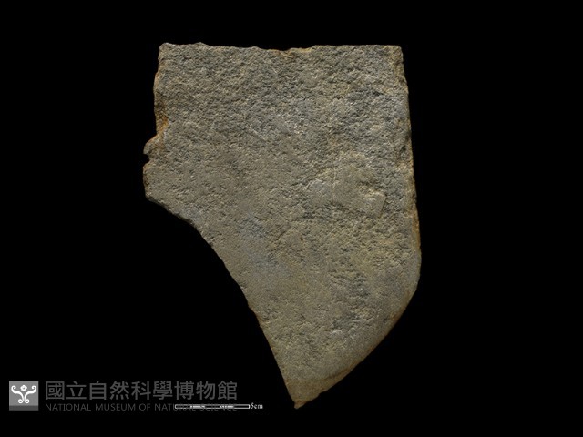 磨製斧鋤形器藏品圖，第1張