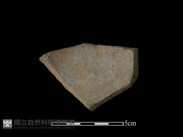 陶片藏品圖，第2張