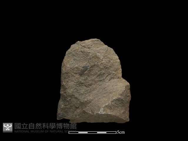 斧鋤形器藏品圖，第2張