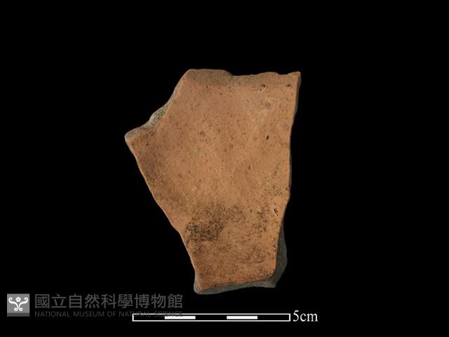 陶片藏品圖，第1張