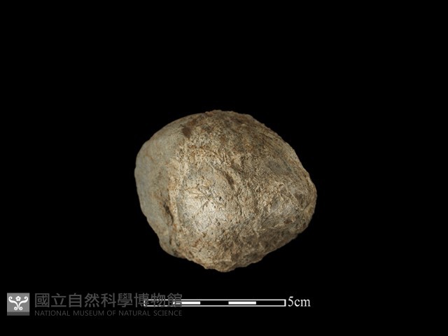 石球藏品圖，第2張