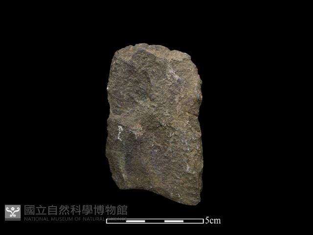 斧鋤形器藏品圖，第1張