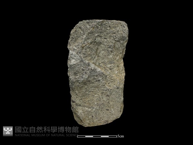 斧鋤形器藏品圖，第2張