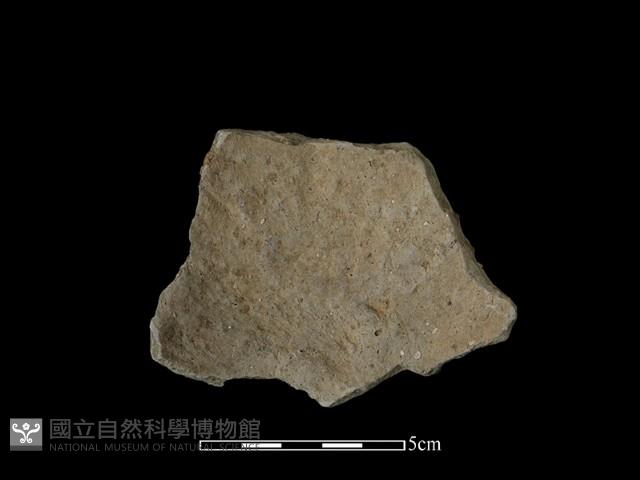 陶片藏品圖，第2張