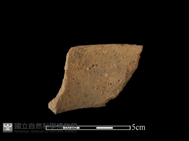 陶罐藏品圖，第1張