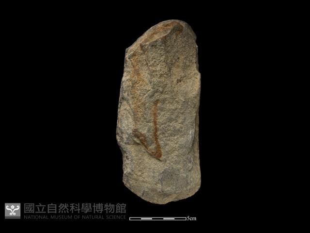 Accession Number:CSSC-2014-023 Collection Image, Figure 1, Total 2 Figures