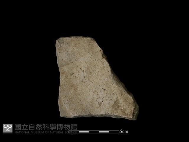 陶片藏品圖，第2張