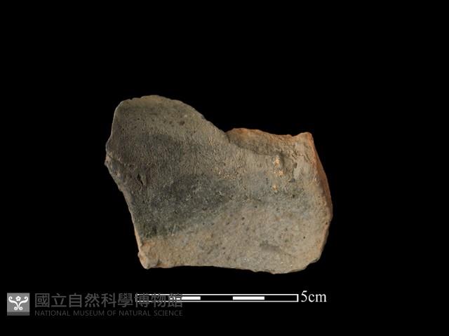 陶片藏品圖，第1張