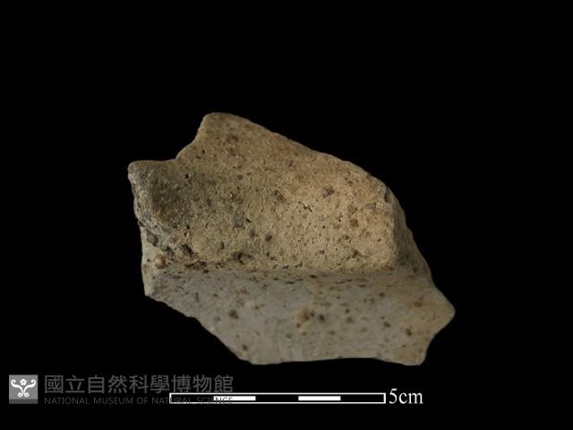 陶片藏品圖，第1張