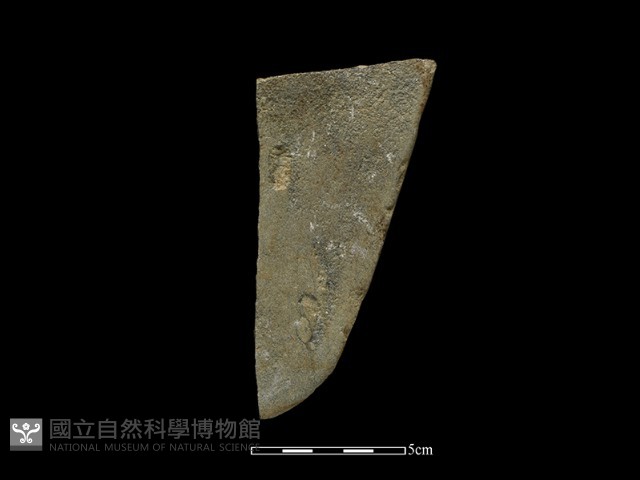 磨製斧鋤形器藏品圖，第1張