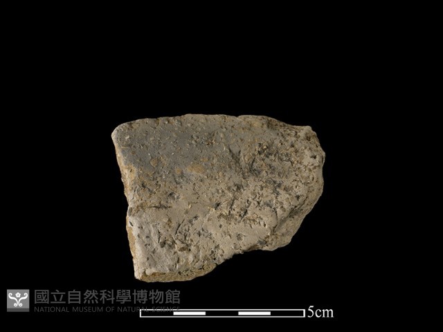 陶片藏品圖，第1張