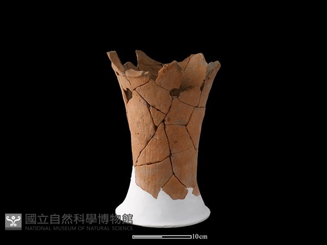 連杯藏品圖，第4張