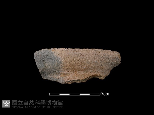 陶罐藏品圖，第1張