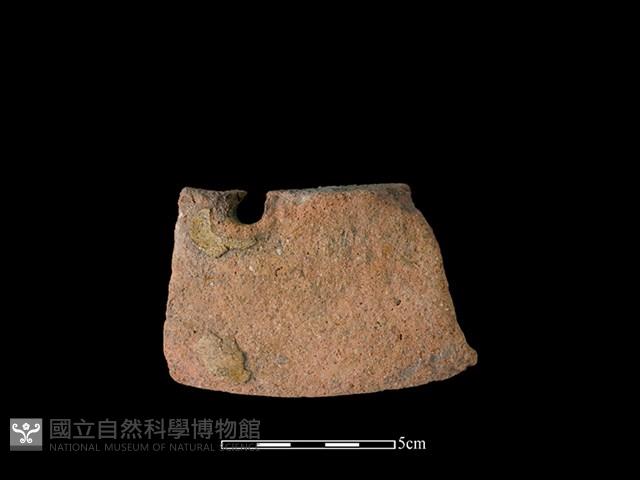 陶罐藏品圖，第1張