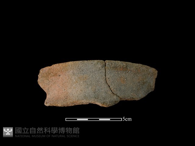 陶罐藏品圖，第1張