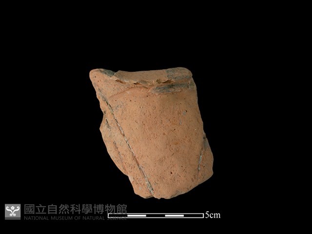 連杯形器藏品圖，第1張
