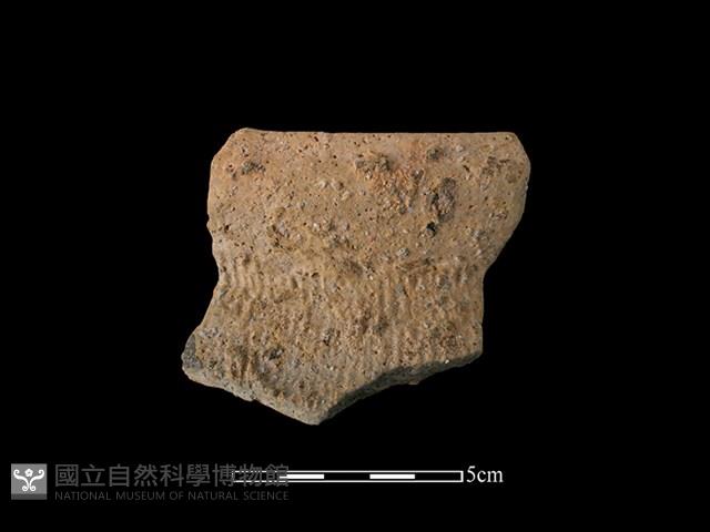 陶罐藏品圖，第1張