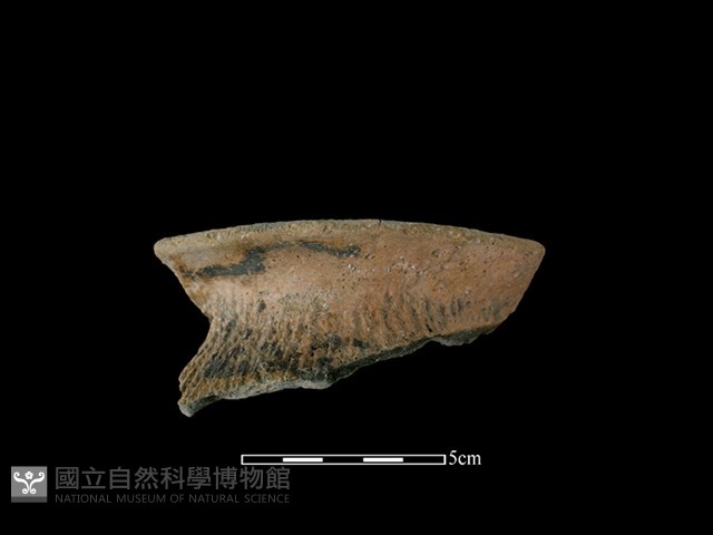 陶罐藏品圖，第1張
