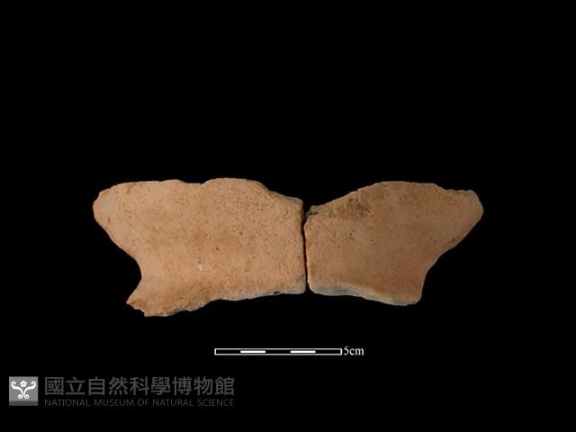 陶罐藏品圖，第1張