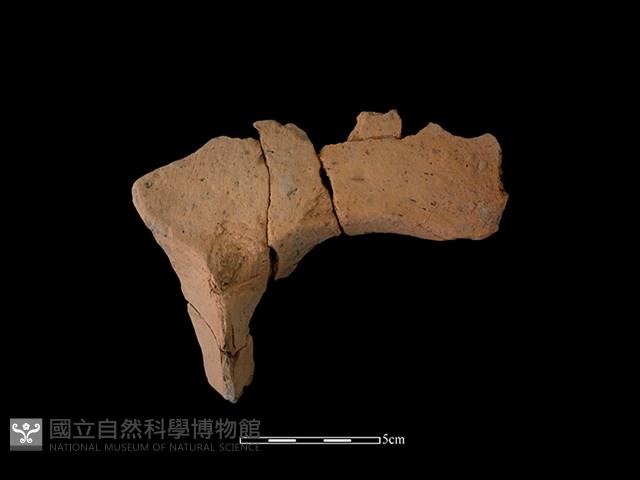 連杯形器藏品圖，第1張