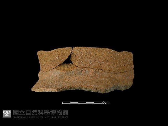 陶罐藏品圖，第1張